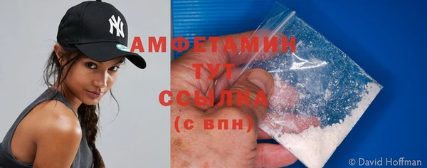 шишки Абаза