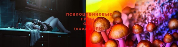амф Абдулино