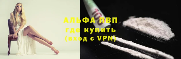шишки Абаза