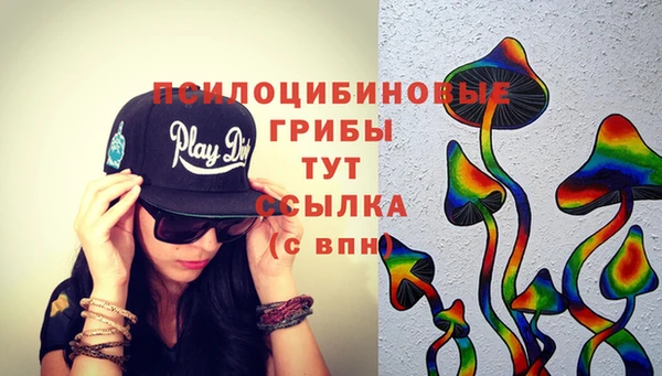 амф Абдулино