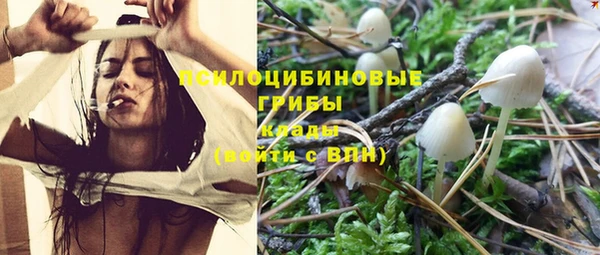 таблы Пересвет