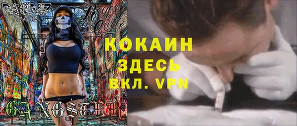 шишки Абаза