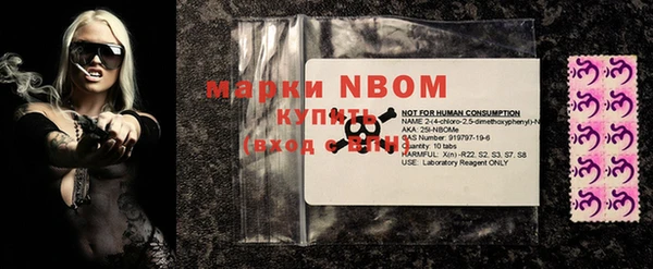 шишки Абаза