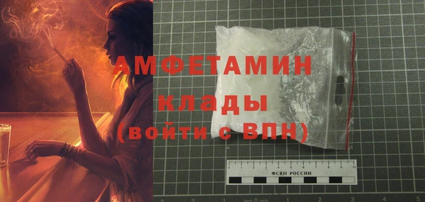 шишки Абаза