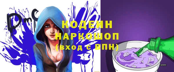 шишки Абаза
