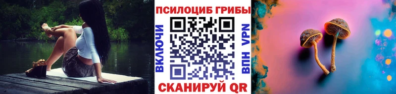 darknet клад  Нерчинск  Псилоцибиновые грибы Magic Shrooms 